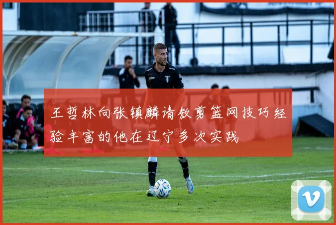 王哲林向张镇麟请教剪篮网技巧经验丰富的他在辽宁多次实践