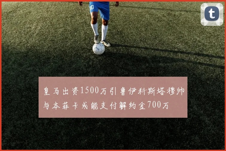皇马出资1500万引鲁伊科斯塔穆帅与本菲卡或能支付解约金700万