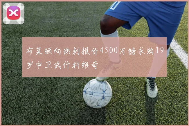 布莱顿向热刺报价4500万镑求购19岁中卫武什科维奇
